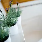 Gyorfi Apartmanhaz