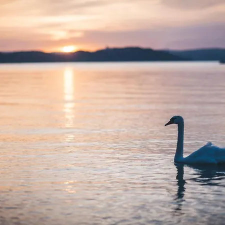 Gyorfi Apartmanhaz Appartement *